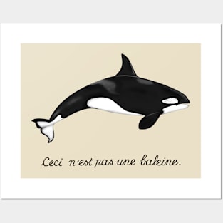 This Is Not a Whale, It's an Orca! Posters and Art